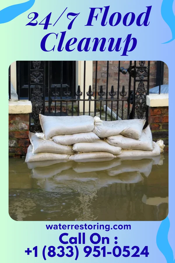 24/7 Flood Cleanup in Blooming Valley, PA