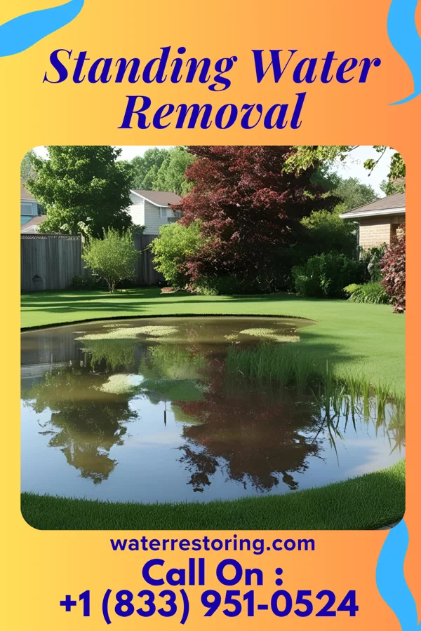 Standing Water Removal in Blooming Valley, PA
